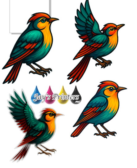 Bird Smaple image to print